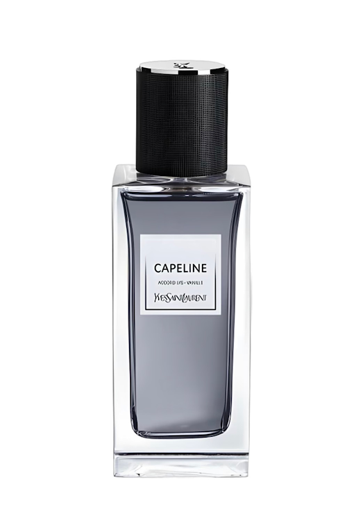 Capeline Yves Saint Laurent